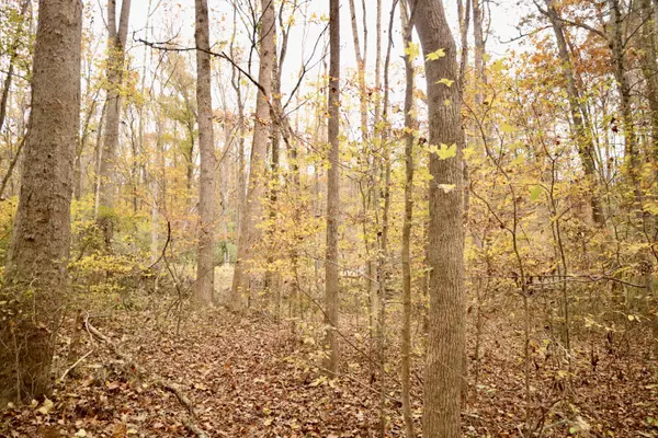 Soddy Daisy, TN 37379,13768 Dell DR