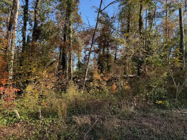 Jackson, GA 30233,0 Apache RD