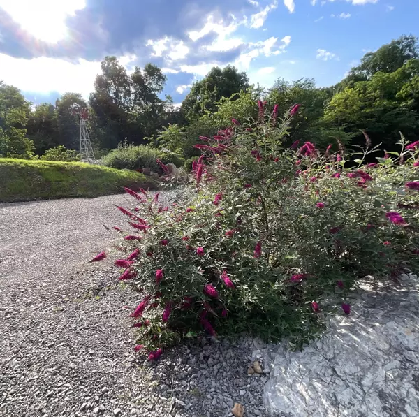 Whitwell, TN 37397,690 Ditch Gap RD