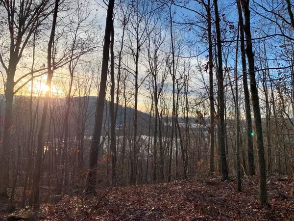 Guild, TN 37340,0 Highway 134