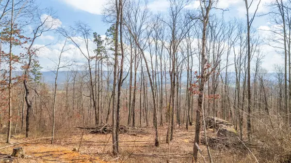 Pikeville, TN 37367,0 Lee Station Mountain RD