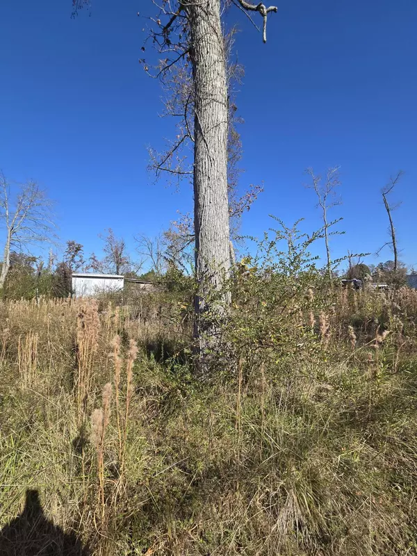 Ooltewah, TN 37363,8907 Bill Reed RD