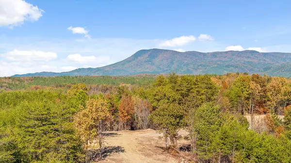 Tract 92 Conniston RD, Chatsworth, GA 30705