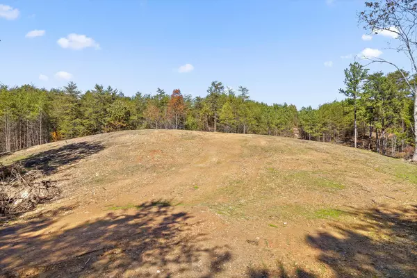 Chatsworth, GA 30705,Tract 92 Conniston RD