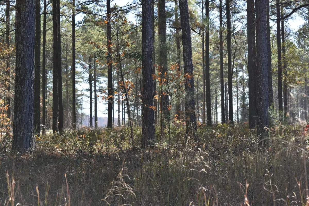 Guild, TN 37340,0 Split Rail Way, Lot 1131 WAY