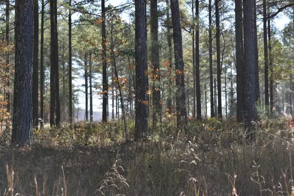 0 Split Rail Way, Lot 1131 WAY, Guild, TN 37340