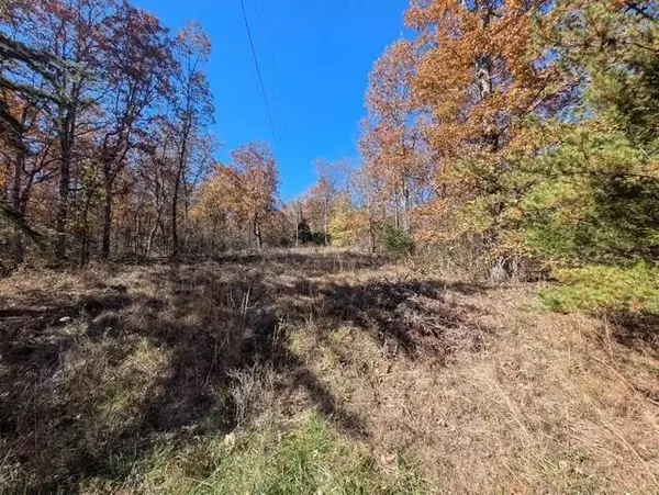 Spring City, TN 37381,Lot 8 Raenne DR