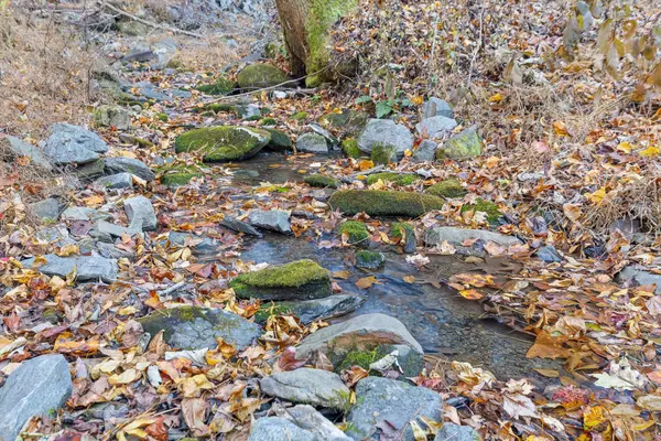 Ellijay, GA 30540,180 Cohutta Forest RD