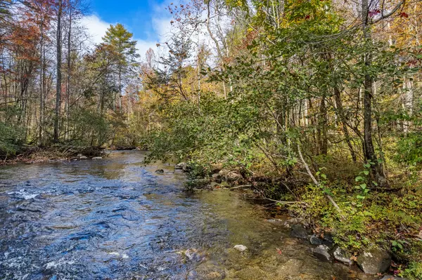 Tellico Plains, TN 37385,00 River Road