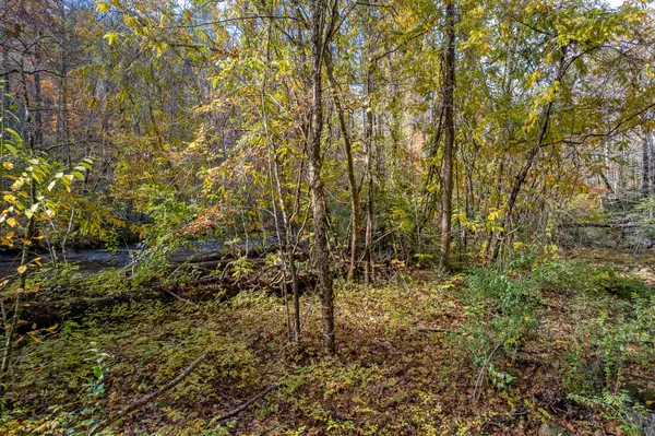 Tellico Plains, TN 37385,00 River Road