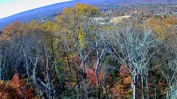 Hixson, TN 37343,6499 Fairview RD