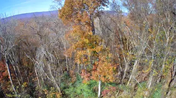 Hixson, TN 37343,6499 Fairview RD