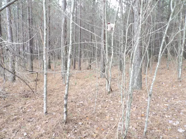 Evensville, TN 37332,Lot 19 Summercity RD