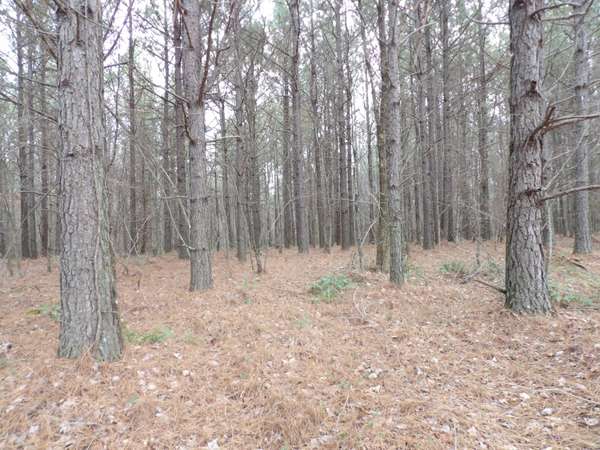 Lot 19 Summercity RD, Evensville, TN 37332