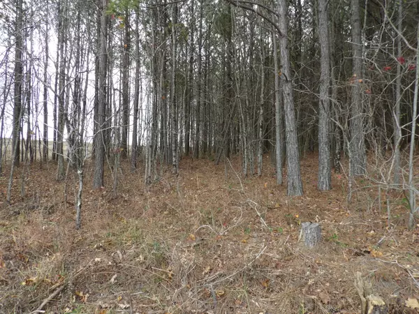 Evensville, TN 37332,Lot 20 Summercity RD