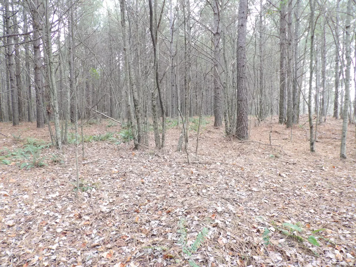 Evensville, TN 37332,Lot 20 Summercity RD
