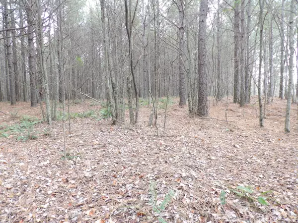 Lot 20 Summercity RD, Evensville, TN 37332