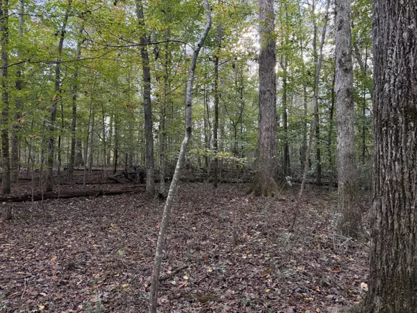 Athens, TN 37303,000 Co Rd 616