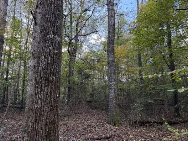 Athens, TN 37303,000 Co Rd 616