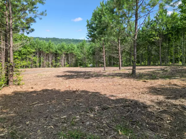 Mcdonald, TN 37353,5289 Mcdonald RD