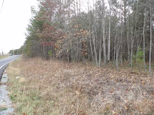 Evensville, TN 37332,Lot 21 Summercity RD