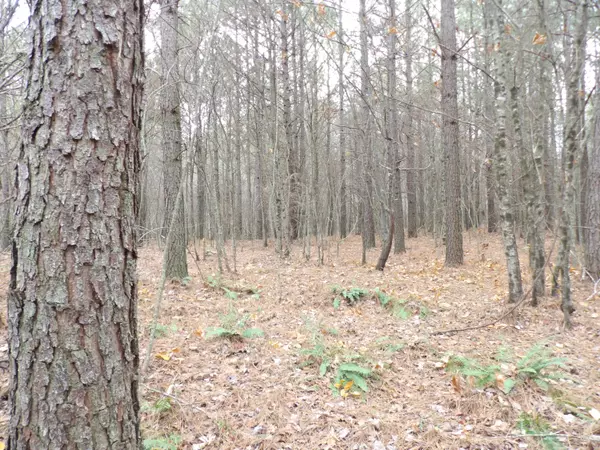 Lot 21 Summercity RD, Evensville, TN 37332