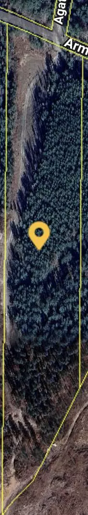 Decatur, TN 37322,3203 Armstrong Ferry RD