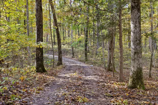 Sewanee, TN 37375,680 Rattlesnake Spring RD