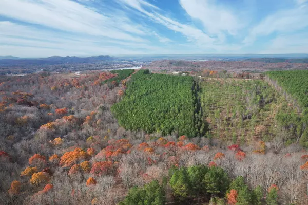 Calhoun, TN 37309,338 County Road 41