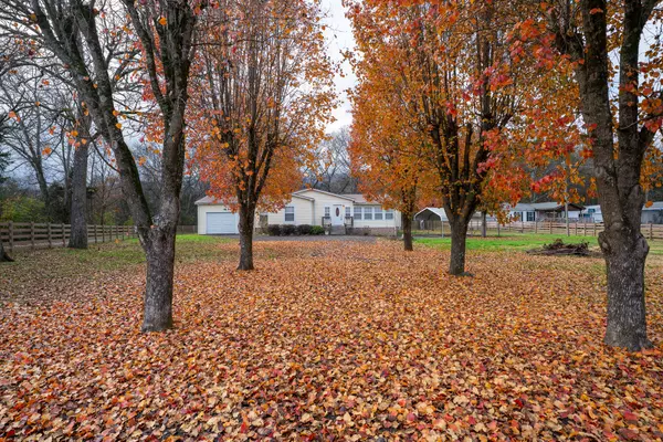 15235 Us 11, Trenton, GA 30752