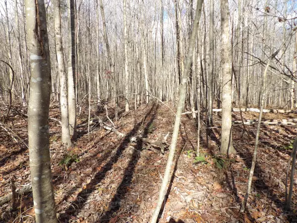 Evensville, TN 37332,Lot 1 Cyrus Daniels RD