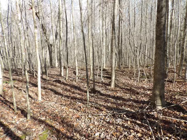 Evensville, TN 37332,Lot 1 Cyrus Daniels RD