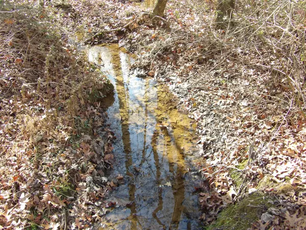 Evensville, TN 37332,Lot 26 Summercity RD