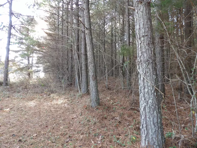 Lot 22 Summercity RD, Evensville, TN 37332