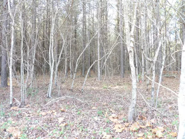 Evensville, TN 37332,Lot 22 Summercity RD