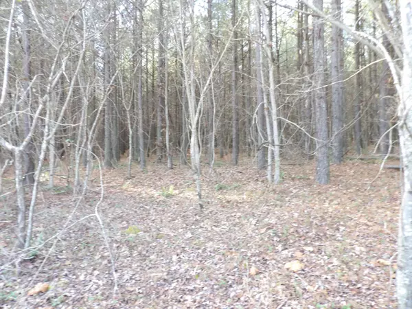 Evensville, TN 37332,Lot 22 Summercity RD