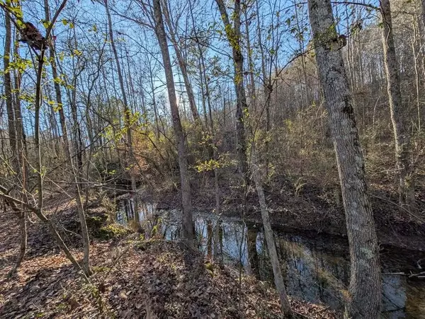 Trion, GA 30753,0 Ridgeway RD