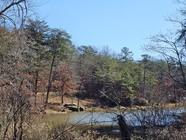 Coalmont, TN 37313,242 Ranger Creek RD