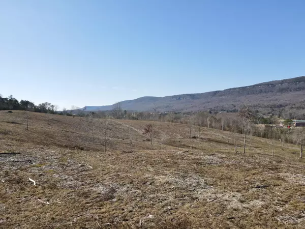 Whitwell, TN 37397,0 Industrial PIKE