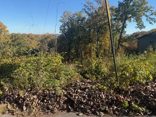 Chattanooga, TN 37415,Lot 201 Stuart TER