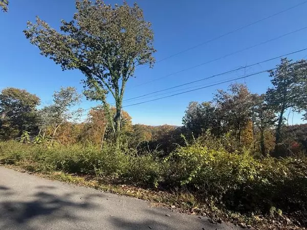 Chattanooga, TN 37415,Lot 202 Stuart TER