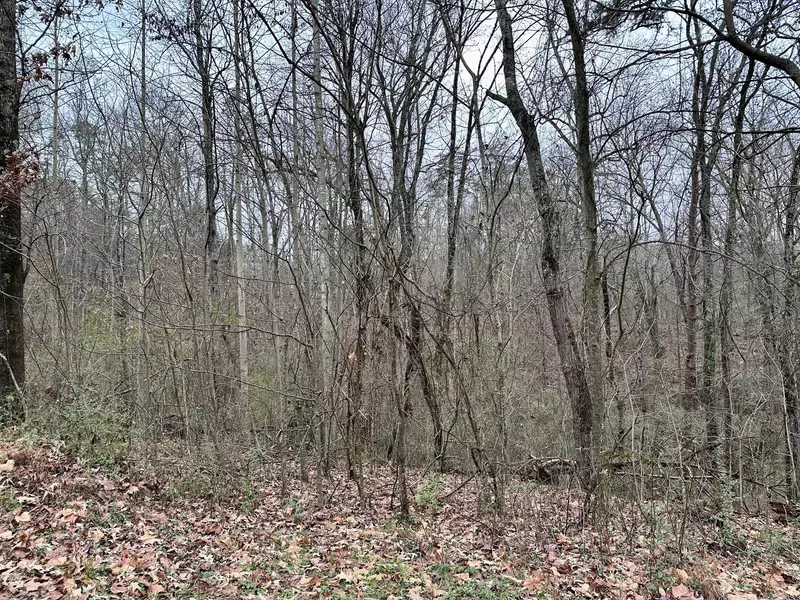 310 Brumlow Hollow RD, Soddy Daisy, TN 37379