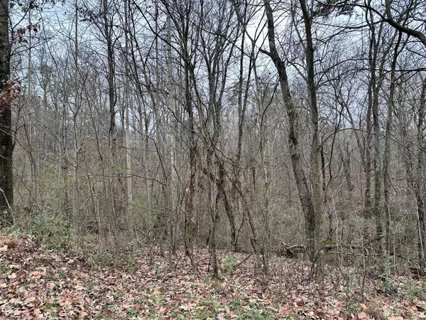 Soddy Daisy, TN 37379,310 Brumlow Hollow RD