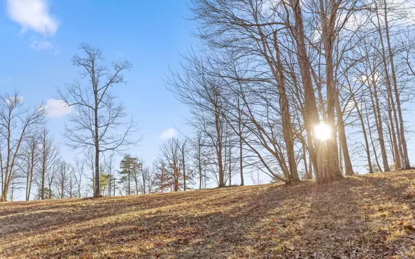 Dunlap, TN 37327,Lot Lg1 Lake George DR