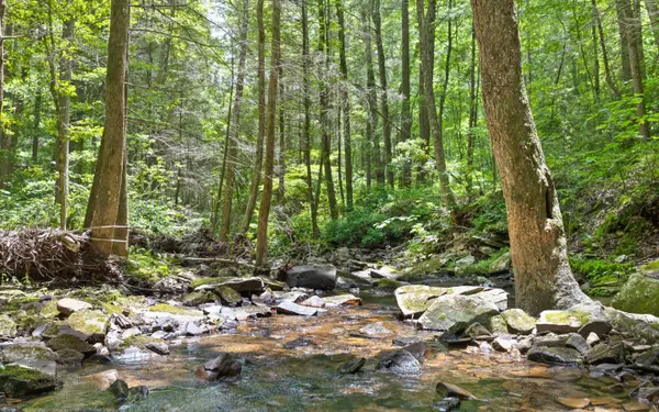 Dunlap, TN 37327,Lot 547 Wilderness WAY