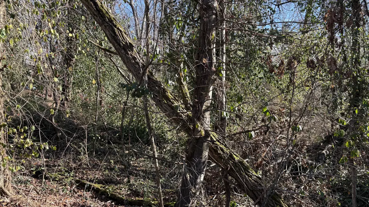 Signal Mountain, TN 37377,0 Skyline Park DR