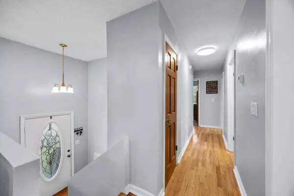 Cleveland, TN 37323,146 Mikel RD