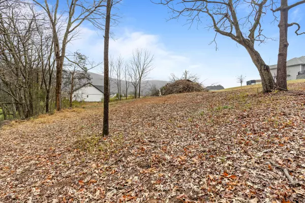 Dunlap, TN 37327,0 Scenic Hollow DR