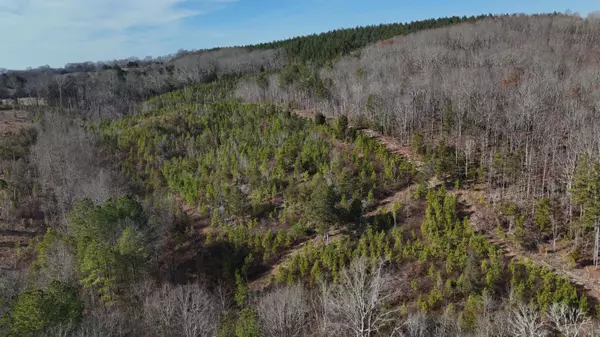 Decatur, TN 37322,00 Big Sewee Lot 5