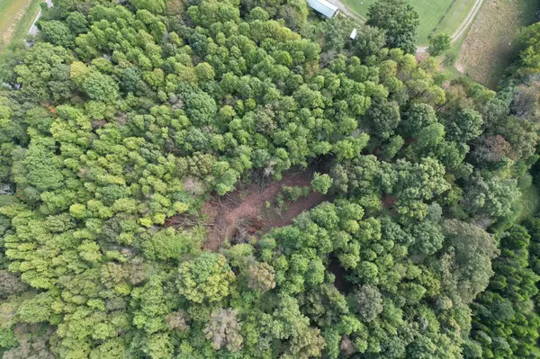 Spring City, TN 37381,10 Ac Hwy 68/Watts Bar Hwy